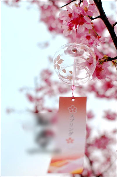 pink sakura japanese wind chime